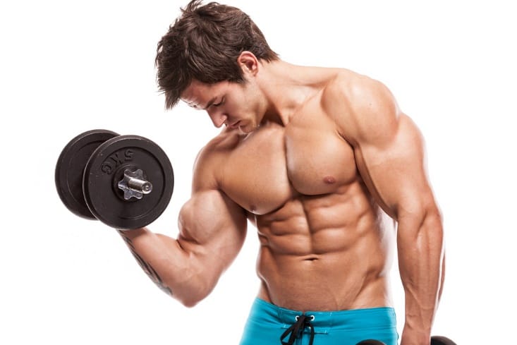 Anabolic Steroids 101: A Comprehensive Guide for Beginners